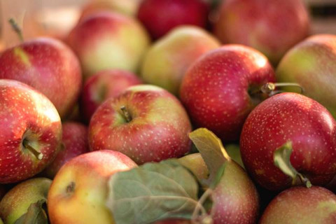 Fix 5 Buah Ini Jadi Life Saver Buat Jantung Kamu