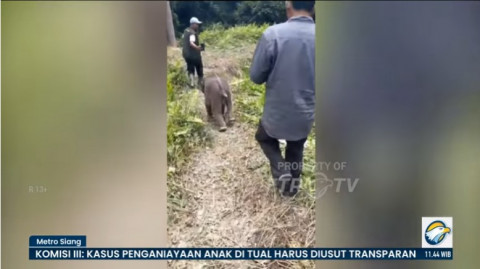 Satwa Langka Makin Sering Terlihat, Tak Selalu Menandakan Peningkatan Populasi