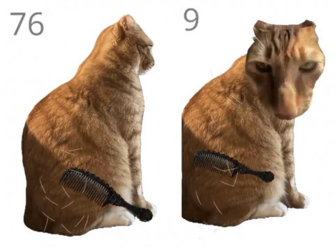 Brush Jjaemu, Game Viral yang 