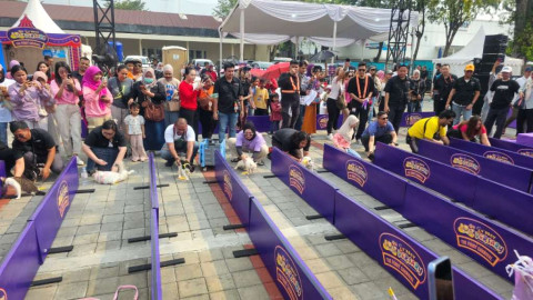 Definisi Hari Minggu Seru! Intip Kemeriahan 9th Boltversary Bareng Boiyen Pesek