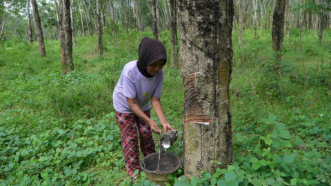 Asa Nenek Samini, Sekolah Rakyat Jadi Jalan Keluar Bagi Cucunya dari Kemiskinan