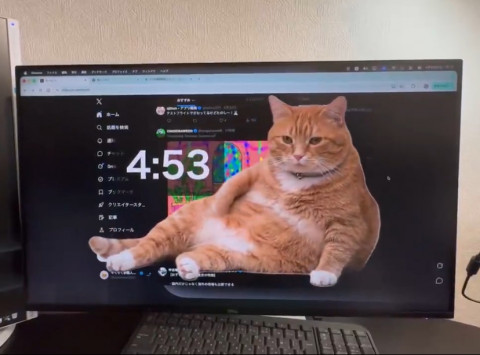 Cat Gatekeeper, Ekstensi Browser yang Paksa Kamu Berhenti Scroll Medsos Pakai Kucing Gemoy