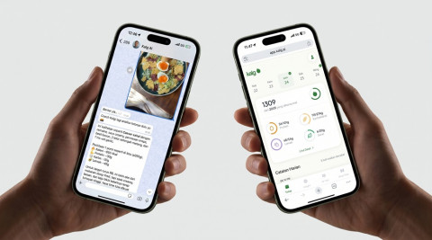 Diet Nggak Ribet! Hitung Kalori Cuma Lewat Chat WhatsApp