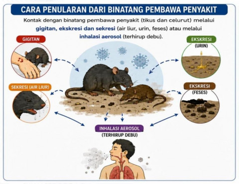 Kemenkes Perkuat Kewaspadaan Virus Hanta