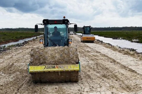 Food Estate Wanam Papua Selatan Perkuat Ketahanan Pangan Nasional