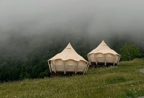 3 Berita Terpopuler Gaya: Saat Camping Keluarga Berujung Petaka Hingga Perut Menghitam