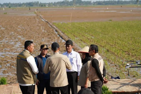 Topang Swasembada Pangan, Pemerintah Percepat Pemulihan Lahan Pascabencana Sumatera