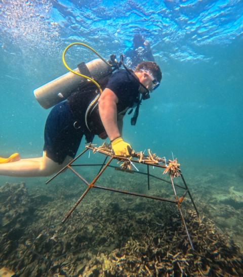 Restorasi Terumbu Karang di Teluk Ekas, Lombok Hadirkan Pengalaman Wisata yang Lebih Bermakna
