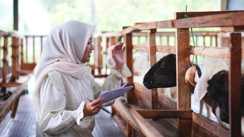 Pemuda Boyolali Bikin Upgrade Peternakan Jadi Lebih Hijau