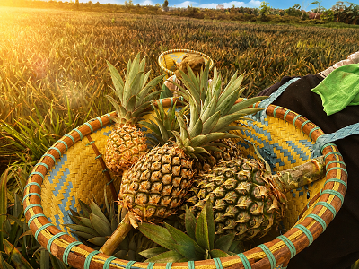 Investor Diajak Garap Potensi Ekonomi Lahan Terdegradasi