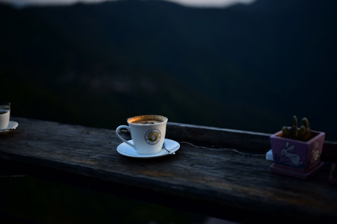 Sama-Sama Berkafein, Kenapa Efek Kopi dan Teh di Tubuh Bisa Berbeda?