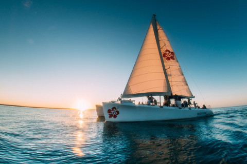 Berenang hingga Sailing, Ini Cara Terbaik Jelajahi Australia’s Coral Coast