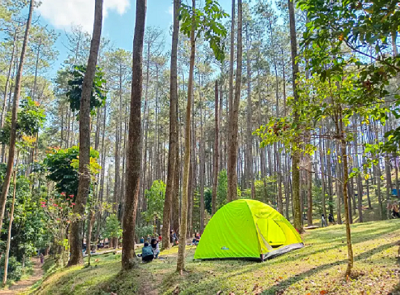 Hidden Gem Bandung! Batu Kuda Punya Hutan Pinus Sejuk dan Jejak Sejarah Purba