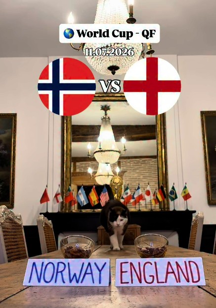 Nimbus Si Kucing Prediksi Pemenang Norwegia Vs Inggris