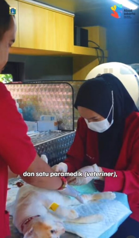 POV: Anabul Kamu Lagi Check-up di Mobil Klinik Hewan Keliling, So Fancy!