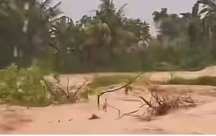 Padang Banjir Saat Kemarau? Hujan Deras Jadi Pemicunya