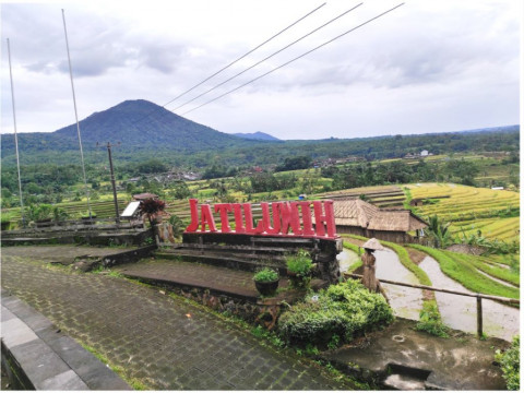 Jatiluwih Bali Bukan Cuma Punya Sawah Terasering, Ini Daya Tariknya