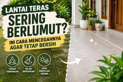 Lantai Teras Sering Berlumut? Ini Cara Mencegahnya agar Tetap Bersih