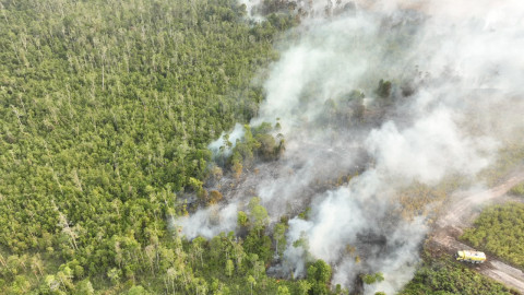 Atasi Karhutla Kalimantan, Modifikasi Cuaca Terus Dioptimalkan