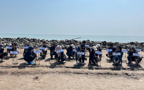 Bagaimana Mangrove Bisa Jadi Solusi Abrasi Pesisir? Begini Proses Rehabilitisainya
