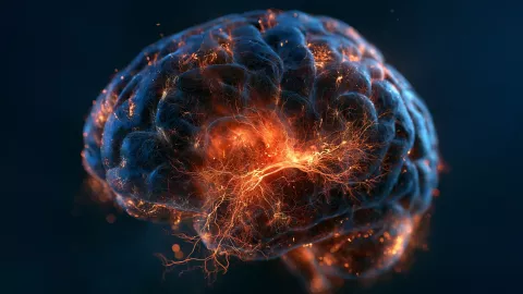 Studi Terbaru: Depresi Terbukti Ganggu Pembentukan Neuron Otak