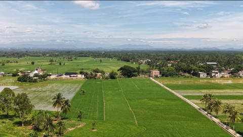 Pemkab Aceh Tamiang Targetkan Seluruh Sawah Terdampak Siap Tanam November 2026