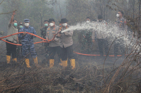 19 Perusahaan Disegel Pemerintah Gegara Karhutla, Lahan Terbakar Tembus 11 Ribu Hektare