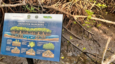 Saat Mangrove jadi Benteng Hidup Warga Pesisir Bali