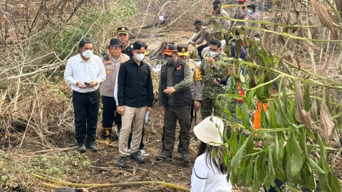 Karhutla Kalimantan Belum Reda, Gibran Instruksikan Sekolah dan Kelompok Rentan Jadi Prioritas