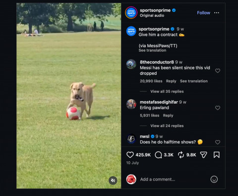 Viral! Anjing Ini Jago Dribble Bola hingga Dijuluki ‘MessiPaws’ 