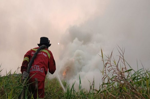 Titik Hotspot Menurun di Beberapa Wilayah, Pengendalian Karhutla Tetap di Perkuat