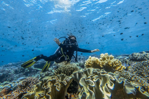 Raja Ampat Bukan Sekadar Tempat Liburan, Ada Ekosistem yang Harus Dijaga