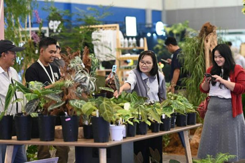 FLOII Expo 2026: Saat Tanaman Hias Naik Kelas Jadi Peluang Bisnis