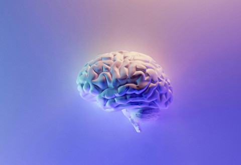 Kematian akan Stroke Masih Tinggi, Pentingnya Inovasi dan Kolaborasi Medis
