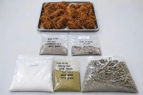 BRIN Olah Limbah Kelapa Sawit Jadi Biomassa Boiler