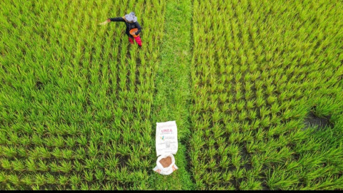Hari Tani 2026, Pupuk Indonesia Perkuat Akses Pupuk bagi Petani