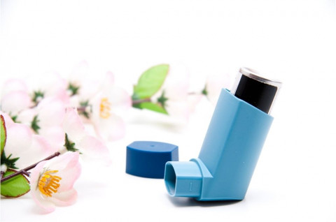 Kehadiran Produk OBA Praktis nan Modern lewat Penguatan CPOBAB