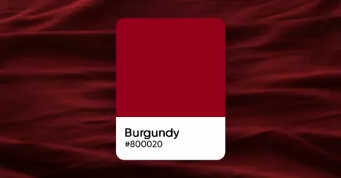 Sedang Tren, Ini Makna Warna Burgundy yang Identik dengan Elegan dan Mewah