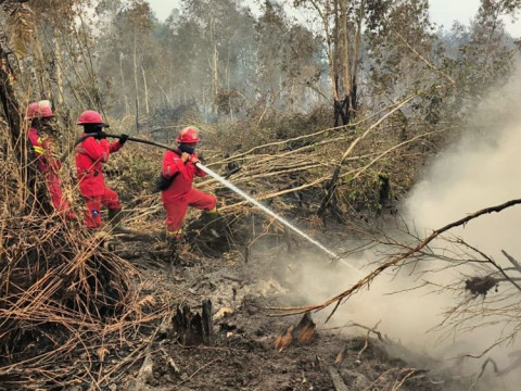Karhutla Tak Kunjung Reda, 639 Hektar Lahan Masih Ditangani