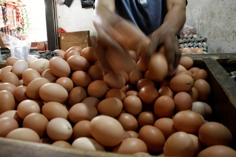 Harga Pangan Semakin Mahal, Telur Tembus Rp37.500 per Kilogram