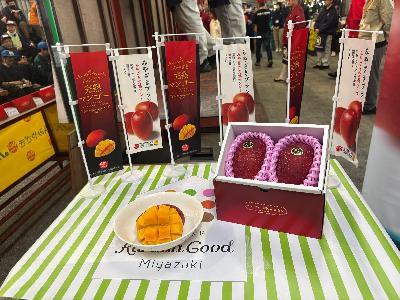 Ini Mangga Paling Mahal di Dunia, Harganya Tembus Puluhan Juta Rupiah!