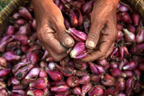 Update Harga Pangan 23 Oktober: Bawang Dibanderol Rp37.150 per Kilogram
