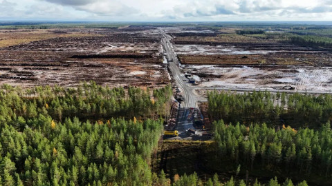 Google Tebang 400.000 Pohon untuk Pusat Data di Finlandia, Proyek Dihentikan Sementara