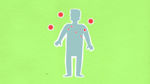 Virus Shamonda yang Biasa Ada di Sapi, Catat Kasus Pertama pada Manusia