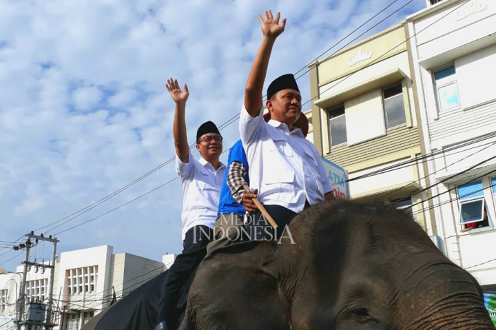 Unduh 57 Gambar Gajah Naik Becak Paling Bagus Gratis HD