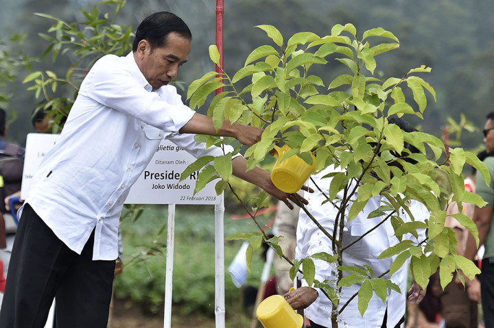 Jokowi Targetkan Revitalisai Sungai Citarum Selesai 7 Tahun
