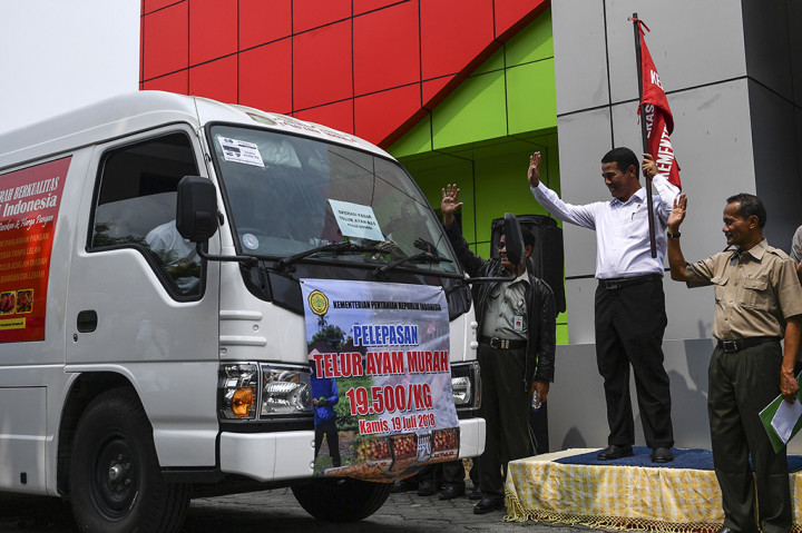 Stabilkan Harga Telur, Kementan Gelar Operasi Pasar