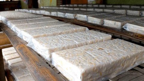 Pengrajin Tempe Tahu Perkecil Ukuran Imbas Harga Kedelai Melambung Tinggi