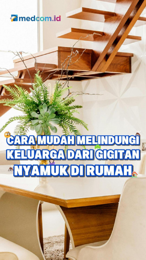 Cara Mudah Melindungi Keluarga dari Gigitan Nyamuk di Rumah