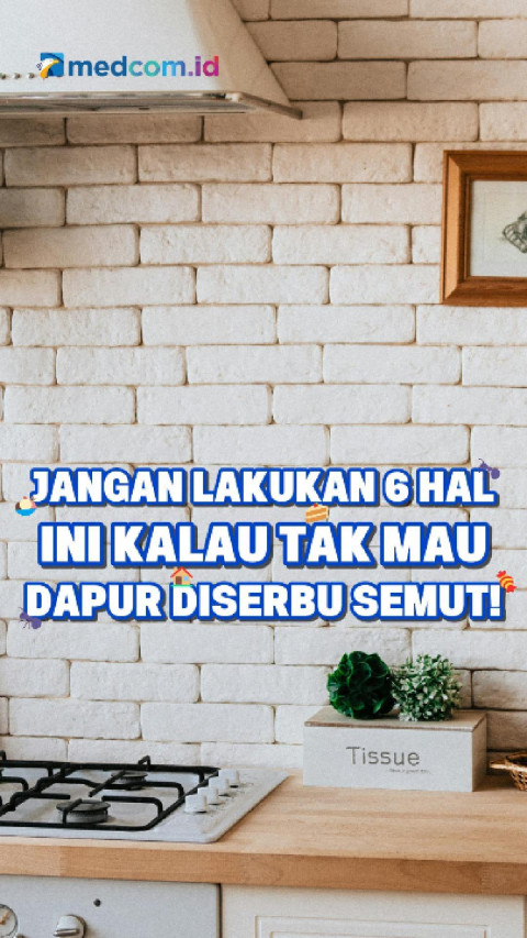 Jangan Lakukan 6 Hal Ini Kalau Tak Mau Dapur Diserbu Semut!